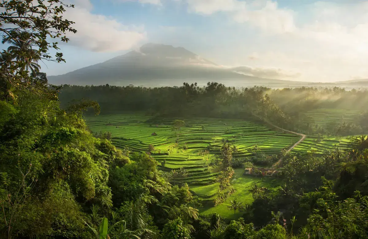 Bali Private Tour - Rice Terraces with Mount Agung View