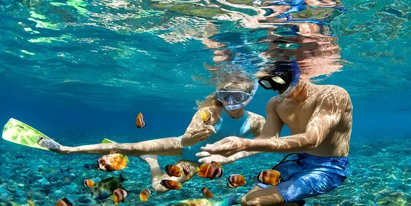 Best Time to Visit Bali (2026 Guide)